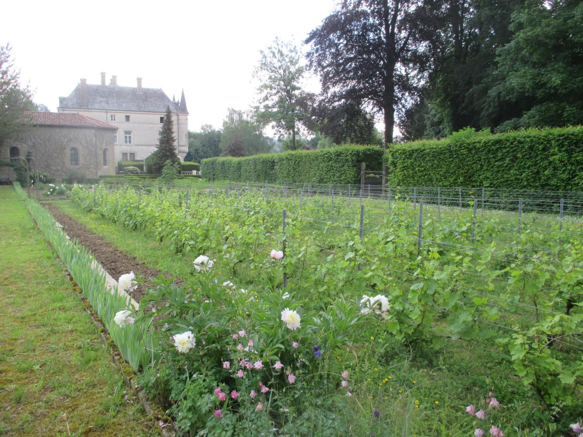 Chateau Des Monthairons Hotel Restaurant Gastromaison Spa Privatif Les Monthairons Zewnętrze zdjęcie